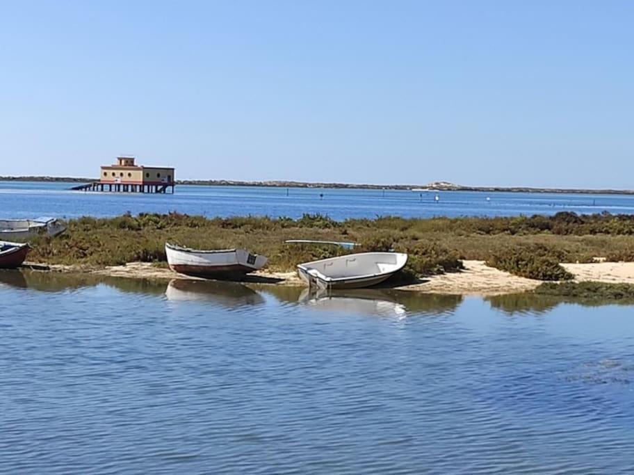 Apartment Au Coeur D'olhao Olhao