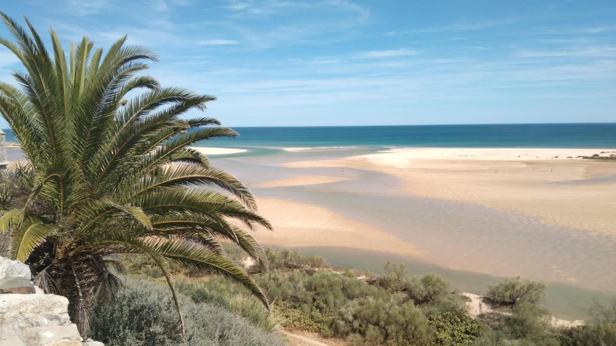 Au Coeur D'olhao *